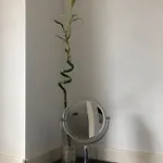 Apartment Winkler